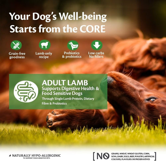 Wellness CORE Adult Lamb, Dry Dog Food, Dog Food Dry for Healthy Digestion, Grain Free with High Meat Content, Lamb, 10 kg?10788