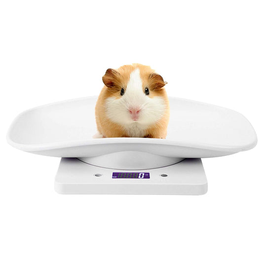 Mini Electronic Scale, 10kg/1g Digital Small Pet Weight Scale Measure Tool Electronic Kitchen Scale for Cats Dogs Food