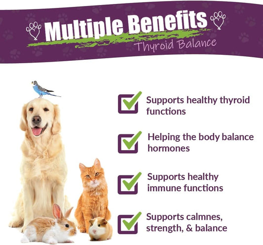 Amber Naturalz Tyd Thyroid Balance Herbal Supplement For Dogs, Cats, Birds, Guinea Pigs, And Rabbits | Herbal Pet Supplement For Thyroid Health | 1 Fluid Ounce Glass Bottle | Manufactured In The Usa