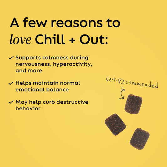 Super Snouts Chill + Out– 30 Soft Chews – Calming Chews For Dogs And Cats Help Maintain Your Pet’S Emotional Balance – Made In The Usa