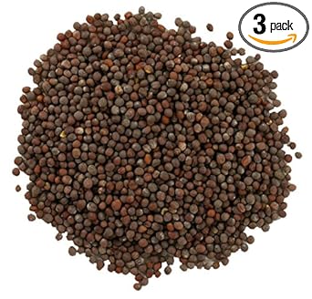 Frontier Co-Op Organic Whole Brown Mustard Seed, 1-Pound Bulk Bag, Robust Spicy, Peppery Flavor, Great For Soup And Pickling
