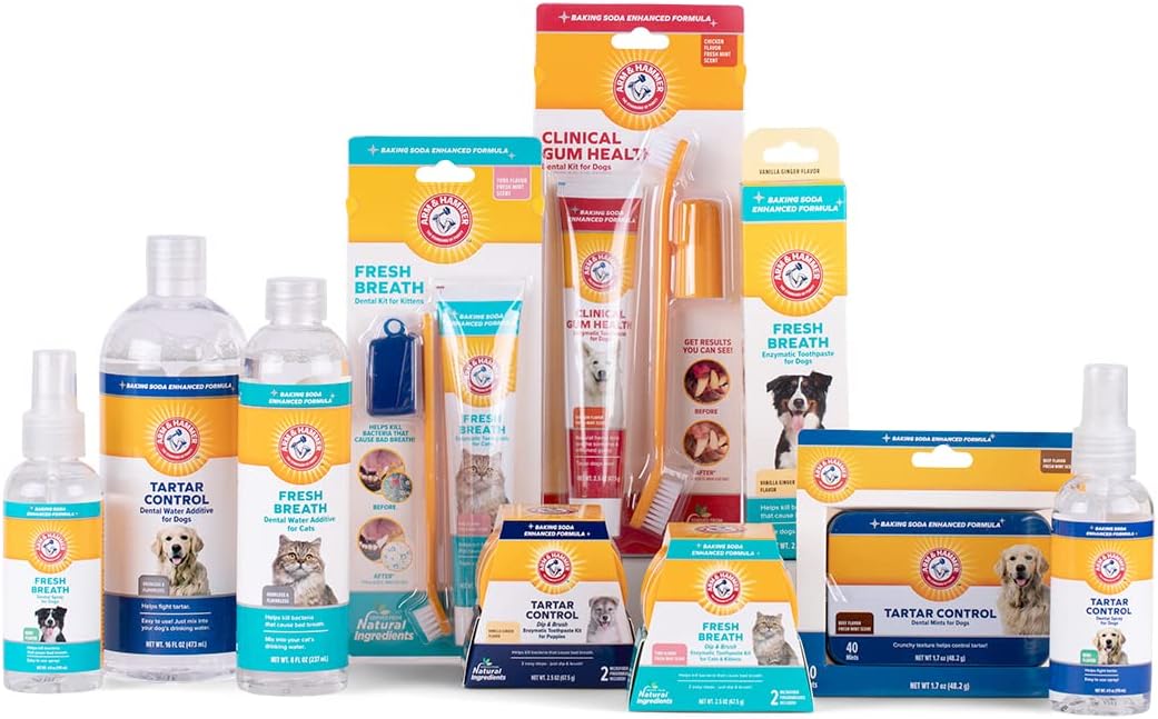 Arm & Hammer for Pets Dental Mints for Dogs, Fresh Breath | Get Fresh Doggie Breath Without Brushing, Way to Fresher Dog Breath | Chicken Flavor, 40 Count - 60 Pack : Pet Supplies