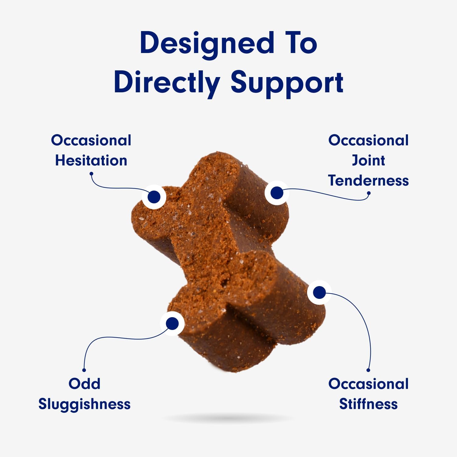 Petlab Co. Joint Care Chews for Dogs - High Levels of Glucosamine, Green Lipped Mussels, Omega 3 and Turmeric - Hip and Joint Supplement for Dogs to Actively Support Mobility : Pet Supplies