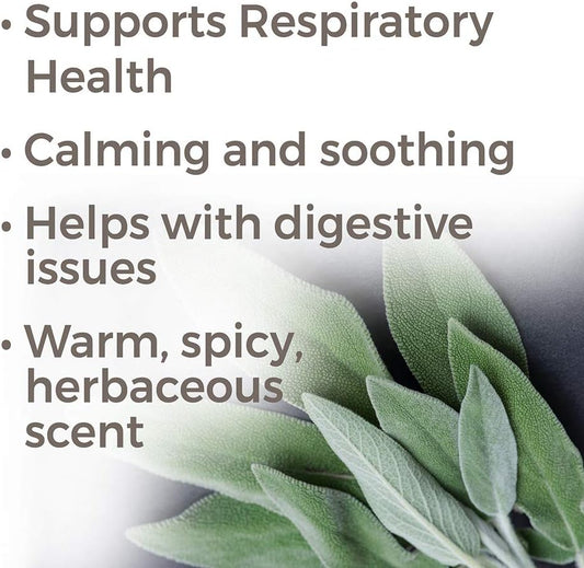 Plant Therapy Dalmatian Sage Essential Oil 10 Ml (1/3 Oz) 100% Pure, Undiluted, Therapeutic Grade
