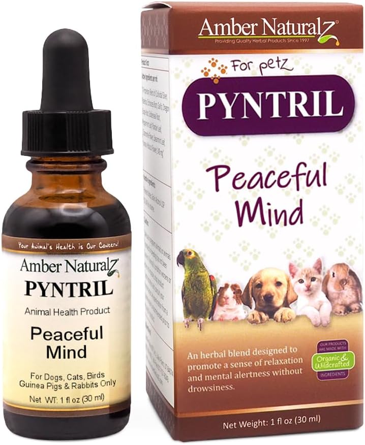 Amber Naturalz Pyntril Peaceful Mind Herbal Supplement For Dogs, Cats, Birds, Guinea Pigs, And Rabbits | Herbal Pet Supplement For Relaxation | 1 Fluid Ounce Glass Bottle | Manufactured In The Usa