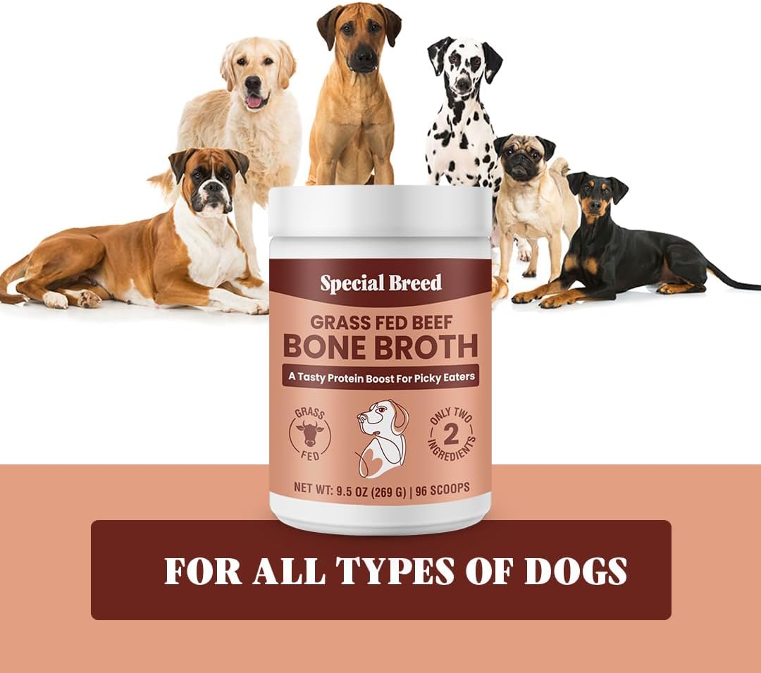 Special Breed Bone Broth Powder for Dogs and Cats - Dog and Cat Food Topper, Grass Fed Beef Broth Supplement, 9.5 oz: Pet Supplies: Amazon.com