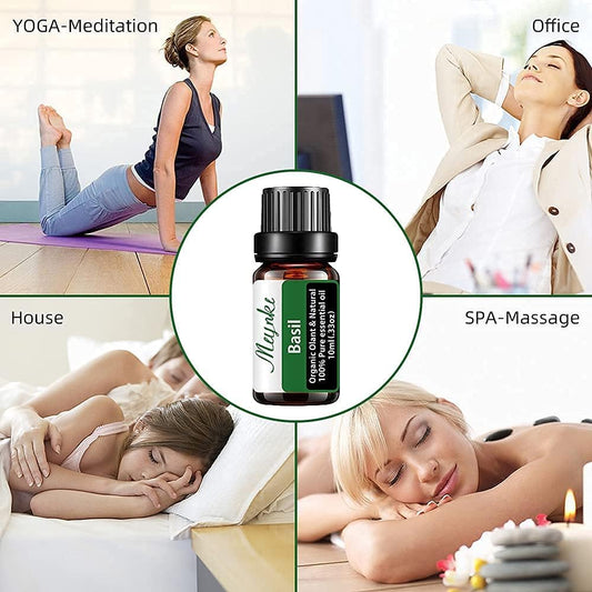 Basil Essential Oil for Diffuser for Home Office Bedroom Bathroom Study Living Yoga Large Room Outdoors -10ml