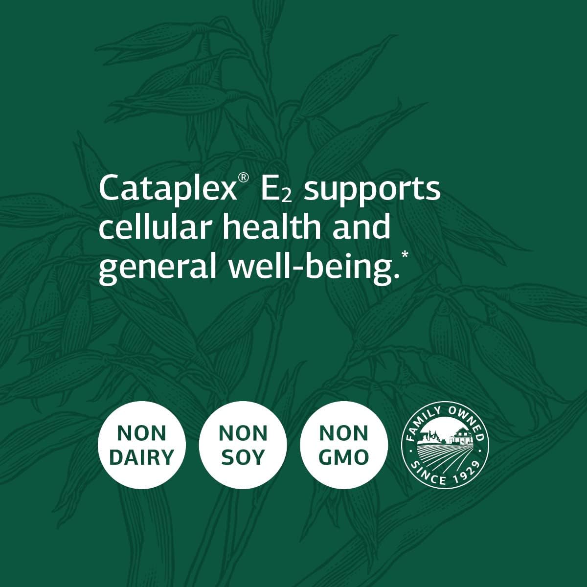 Standard Process - Cataplex E2 - 90 Tablets : Health & Household