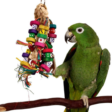 Northern Parrots Colourful Wooden Beak Pleaser Toy