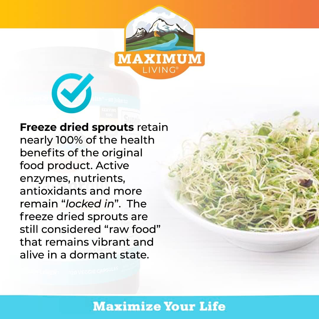 Maximum Living - Vita-Sprout Whole-Food Multivitamin & Phytonutrient Blend - 120 Capsules : Health & Household