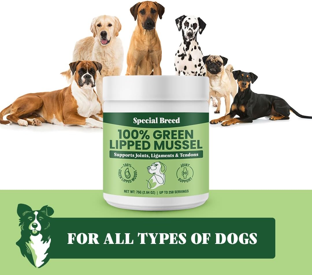 Green Lipped Mussels for Dogs & Cats - Premium Joint Supplement Powder for HIPS, Joints, and Muscles (75 Grams, Up to 250 Servings) : Pet Supplies
