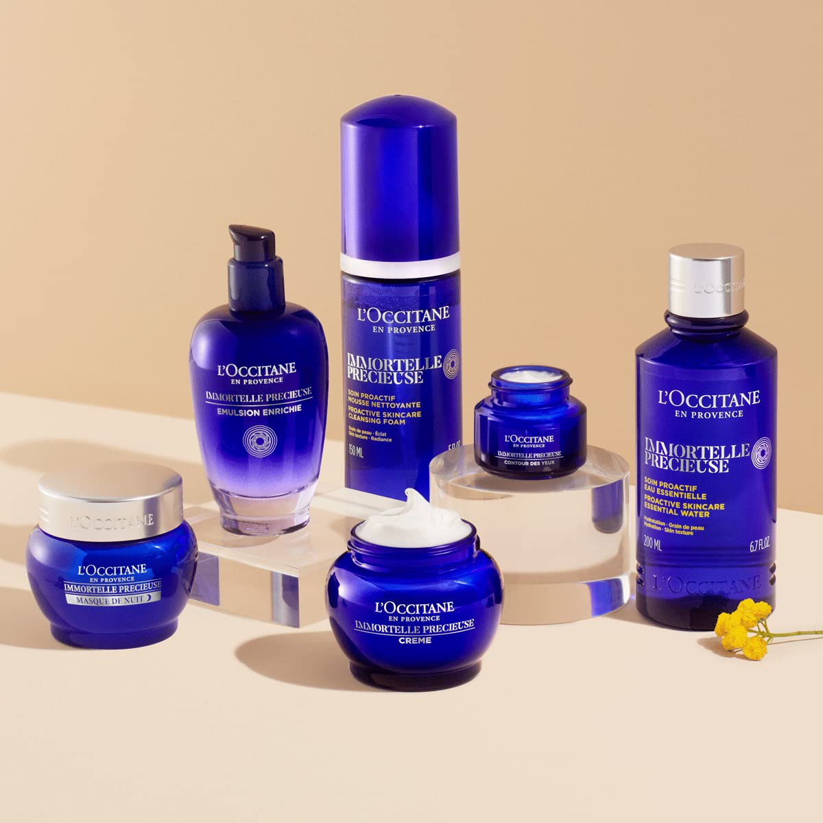 L'Occitane Immortelle Precious Cleansing Foam 5.00 Fl. Oz : Beauty & Personal Care