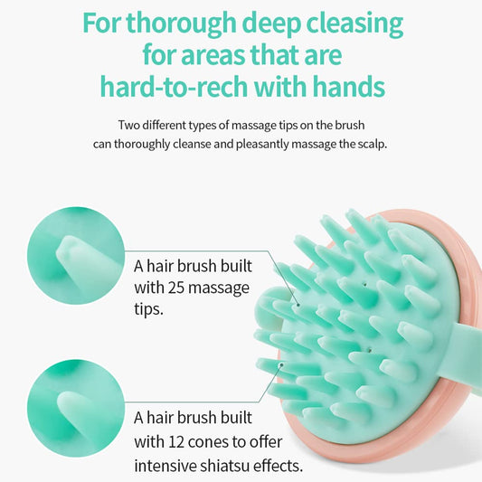 Masil Head Cleansing Massage Brush Scalp Dryer Curly Korean Hair Care Detangler Brush (Head Massage Brush)