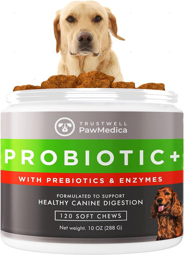 PawMedica Dog Probiotics and Digestive Enzymes, Probiotics for Dogs Made in USA, Pet Probiotic Chews for Dogs, Prebiotics & Probiotic Dog Digestive Support, Probiotic Treats - 120 Dog Probiotic Chews
