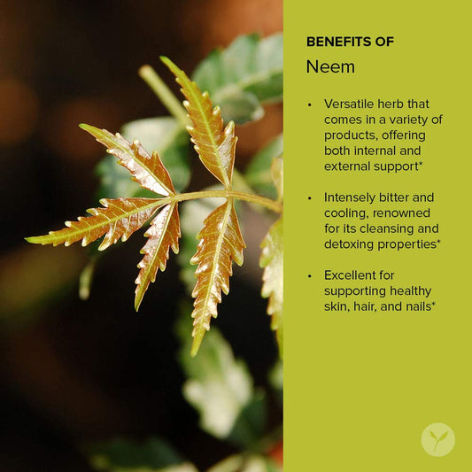 Banyan Botanicals Neem Oil – Pure & Organic Neem & Sesame Oil – Tradit