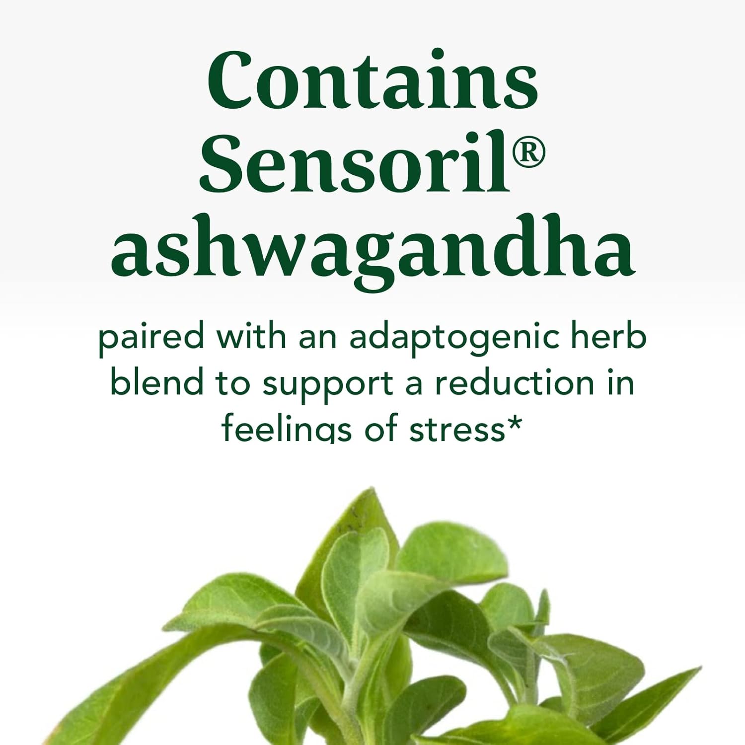 MegaFood Stress Protect with Ashwagandha & Herb Blend -Supports Healthy Stress Response - Rhodiola Root, Vegetarian, Non-GMO, Gluten-Free - Made without 9 Food Allergens - 60 Tabs (30 Servings) : Health & Household