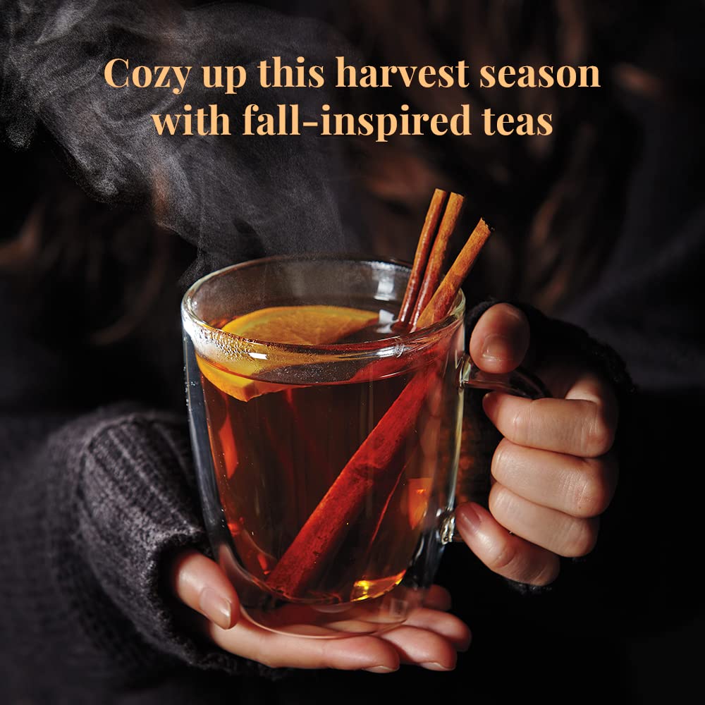 The Republic Of Tea: Fall Harvest Tea Assortment Cube, 24 Tea Bags