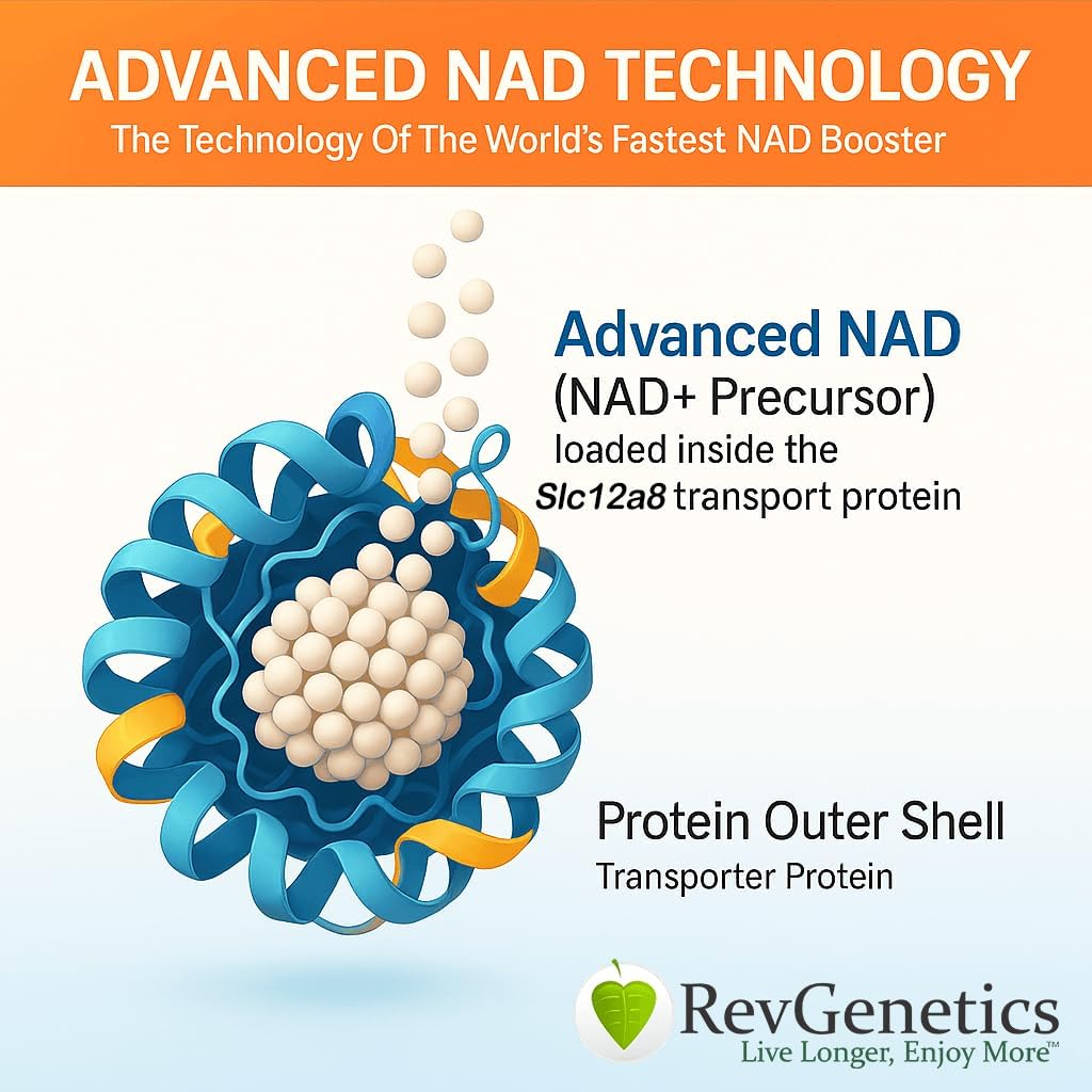 Nad Supplement Nad-1000 60 Capsules - Dietary Supplement For Healthy Aging And Vitality - Better Than Regular Nr And Nmn, As Product Uses Stomach Acid Protected Capsules & Absorbed Faster