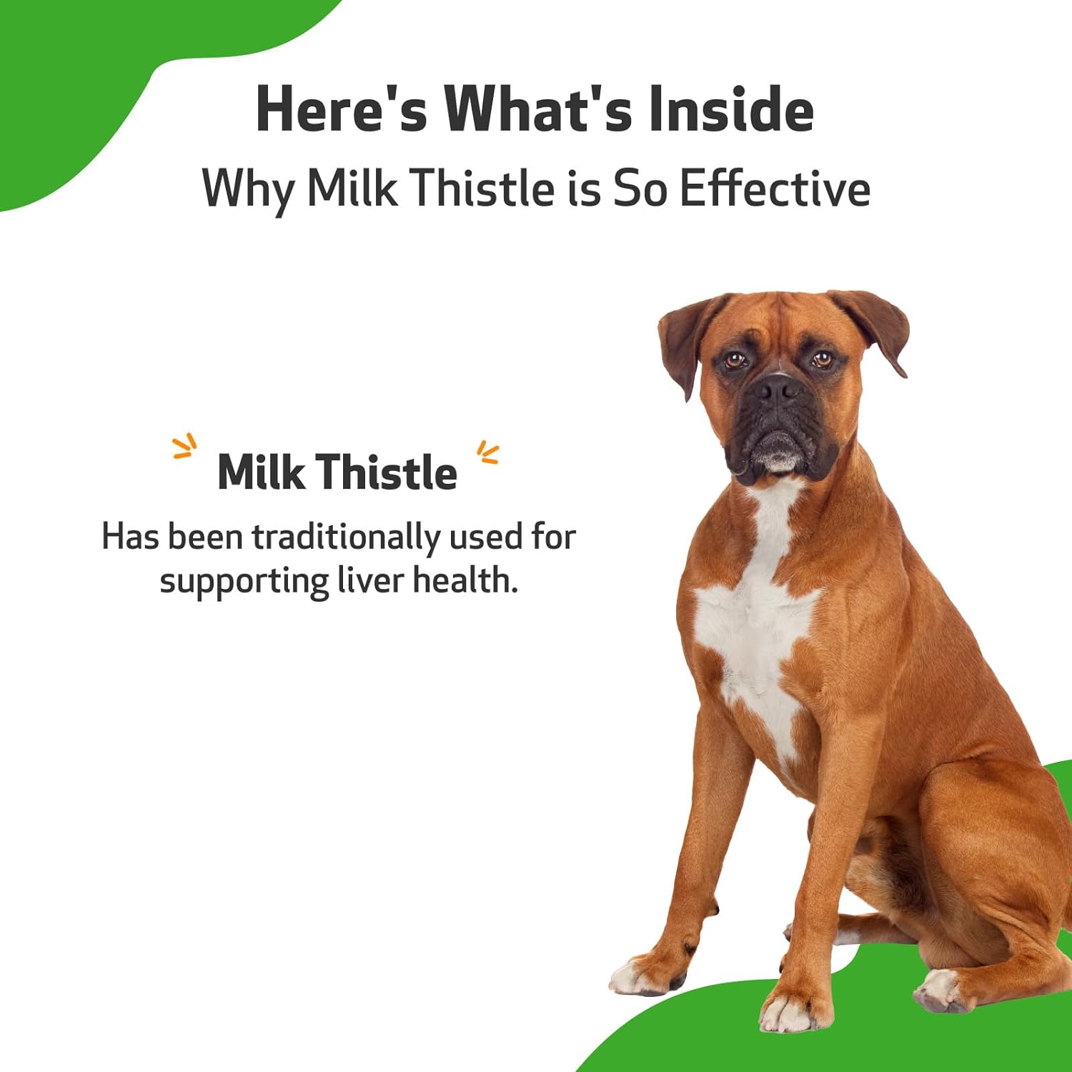 Pet Wellbeing Milk Thistle for Dogs - Supports Liver Health, Protects Liver - Glycerin-Based Natural Herbal Supplement - 2 oz (59 ml) : Pet Supplements And Vitamins : Pet Supplies