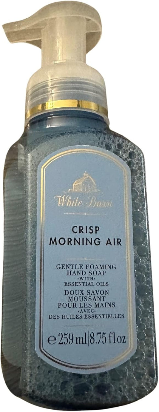 Bath & Body Works Foaming Hand Soap 8.75Oz & 259Ml (Crisp Morning Air)