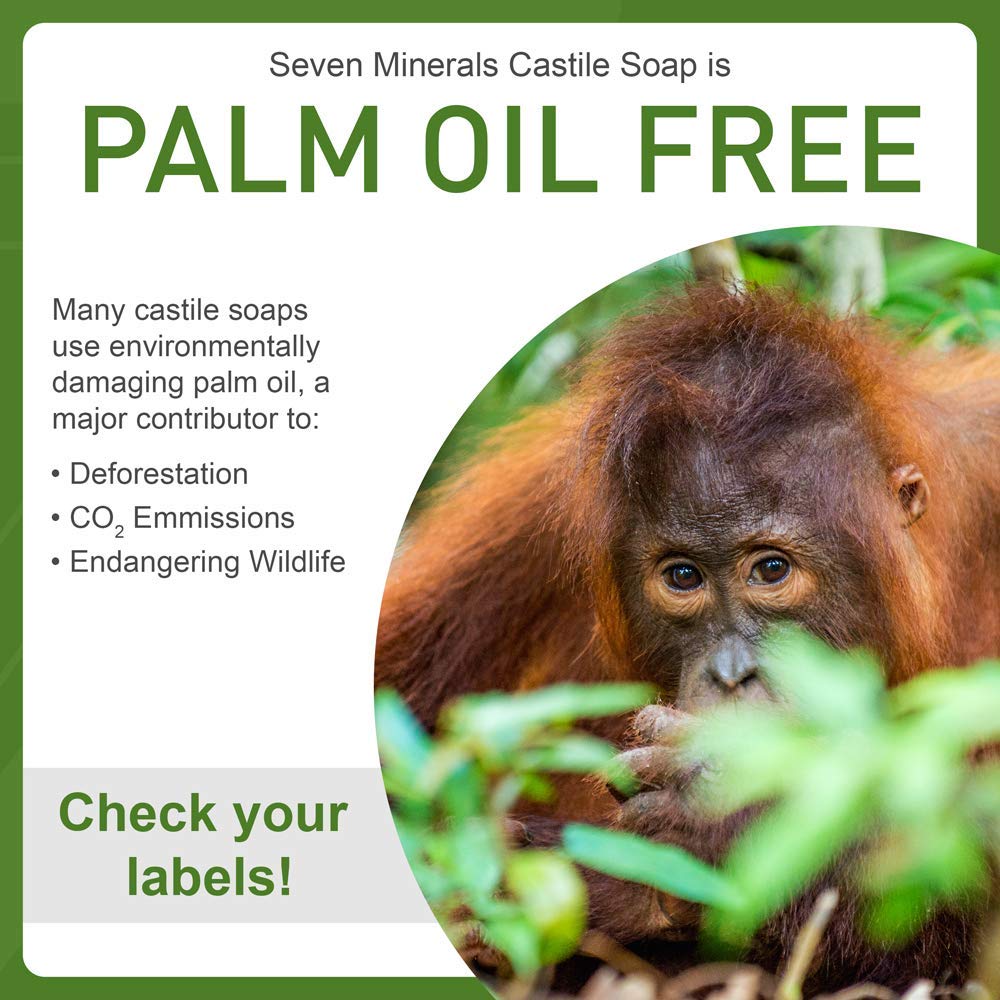Seven Minerals, EWG Verified Castile Soap 33.8 fl oz - No Palm Oil, GMO-Free - Unscented Mild & Gentle Liquid Soap For Sensitive Skin & Baby Wash - All Natural Vegan Formula with Organic Carrier Oils : Beauty & Personal Care