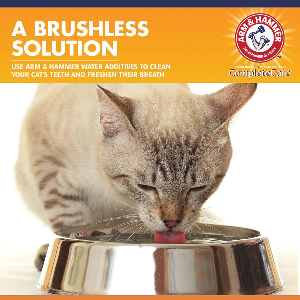 Arm & Hammer Complete Care Fresh Dental Water Additive for Cats - Cat Dental Care Solution for Bad Breath, Includes Cat Toothpaste Enzymatic Action, Ideal for Cat Grooming Supplies, 8 Fl Oz : Pet Supplies