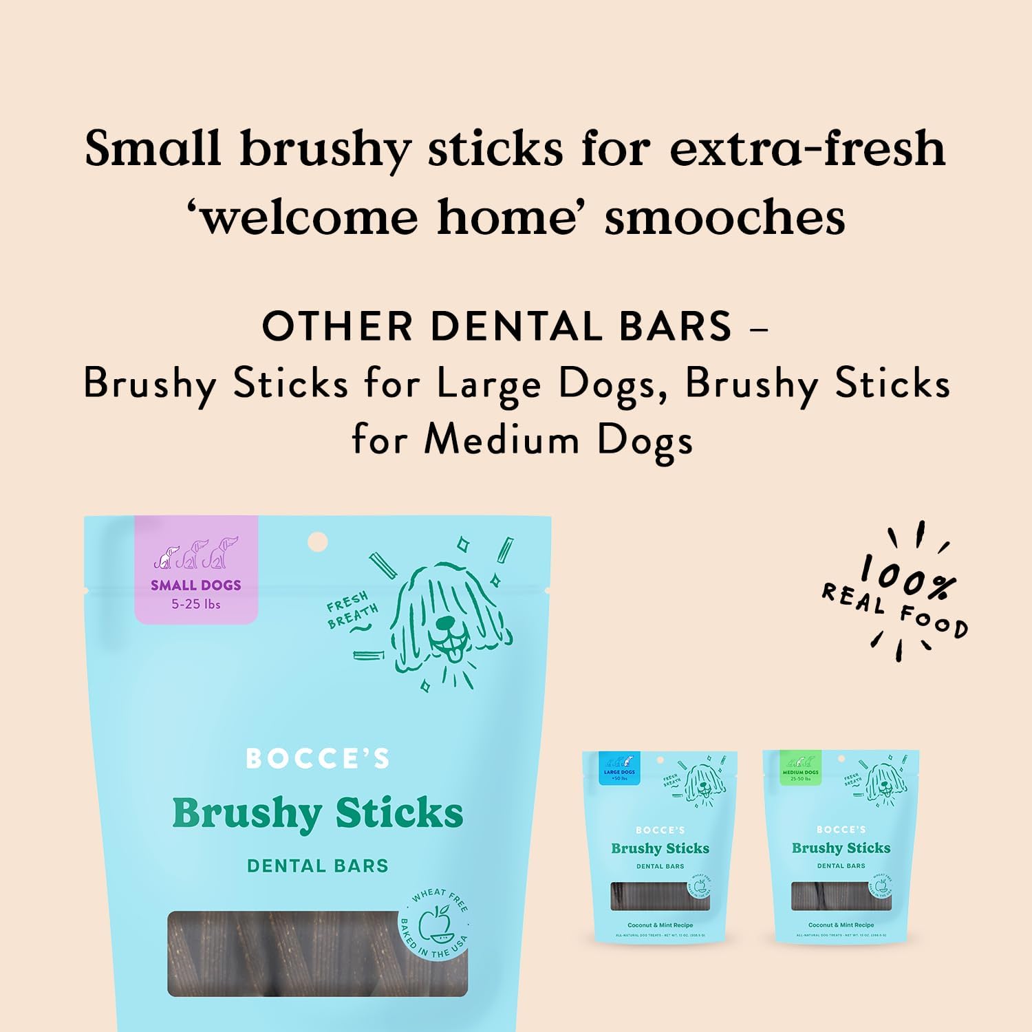 Bocce’s Bakery Dailies Brushy Sticks to Support Oral Health & Fresh Breath, Wheat-Free Dental Bars for Dogs, Made with Real Ingredients, Baked in the USA, All-Natural Coconut & Mint Recipe, Small Dogs : Pet Supplies