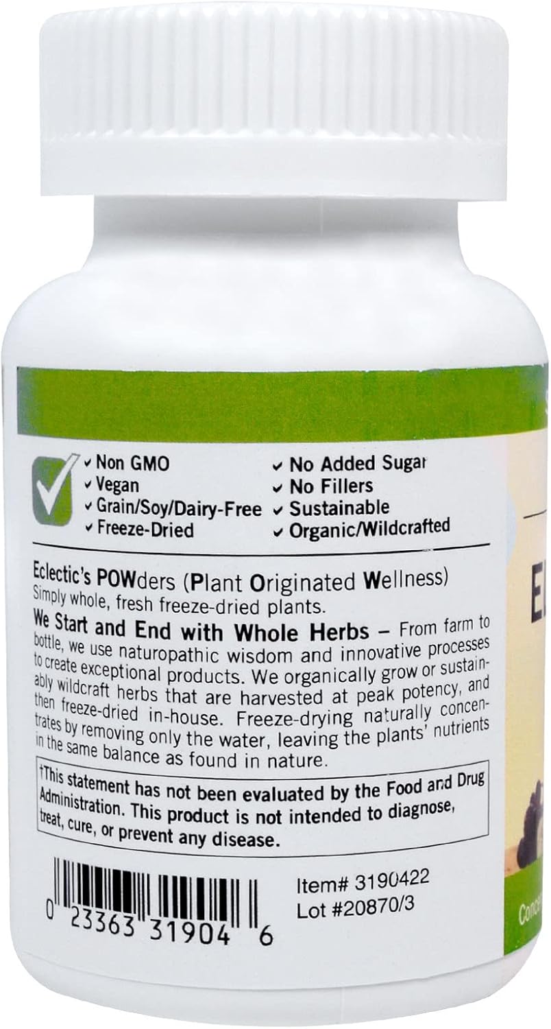 Eclectic Institute Elderberry Immune Fd 90 : Health & Household
