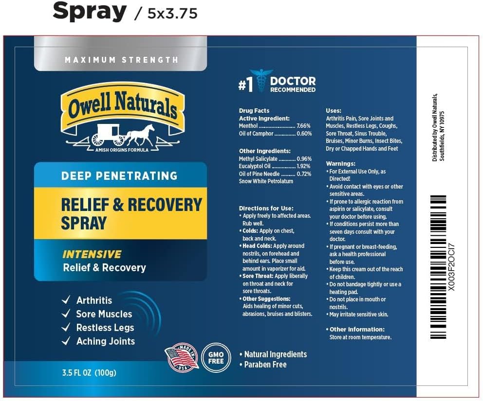 Amish Origins Deep Penetrating Pain Relief Liquid Spray - Fast-Acting, Natural Relief For Muscle Aches, Joint Pain, And Stiffness - 3.5 Oz Spray Bottle : Health & Household