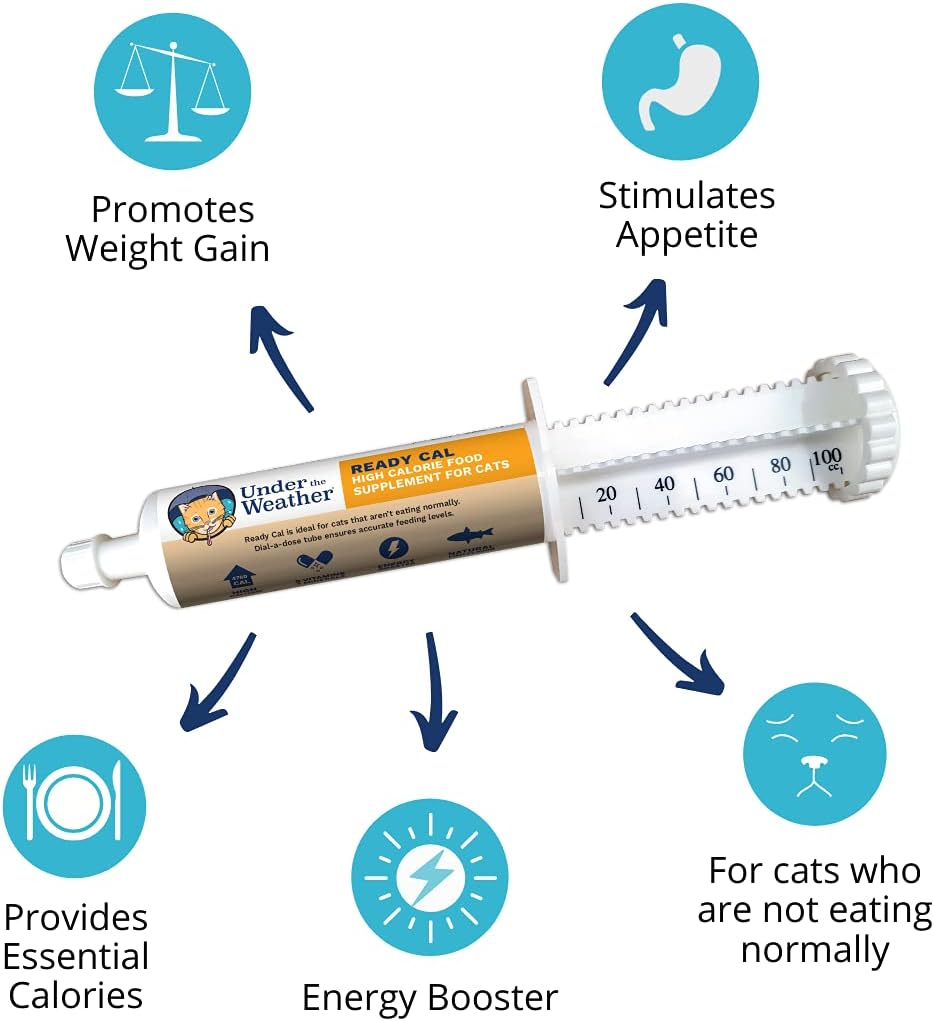 Under The Weather Pet | Ready Cal for Cats 100cc | High Calorie Supplement | Cat Weight Gainer and High Calorie Booster | 10 Vitamins, 7 Minerals & Omega Fatty Acids (for Cats 100cc) : Pet Supplies
