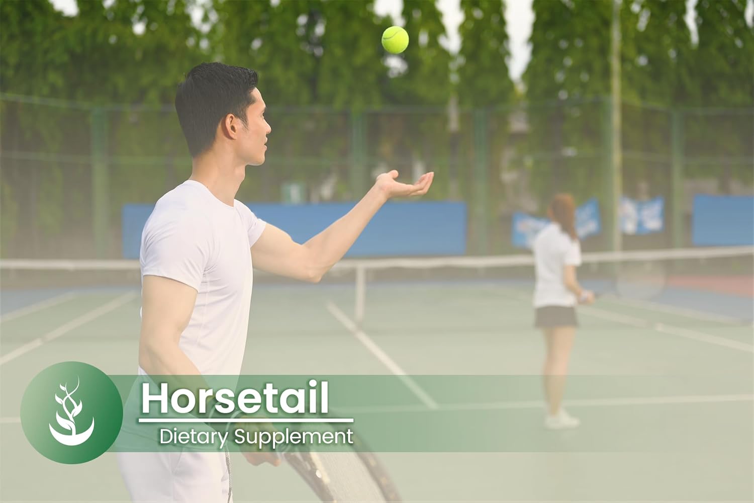 Pure Original Ingredients Horsetail, (100 Capsules) Always Pure, No Additives or Fillers, Lab Verified : Health & Household