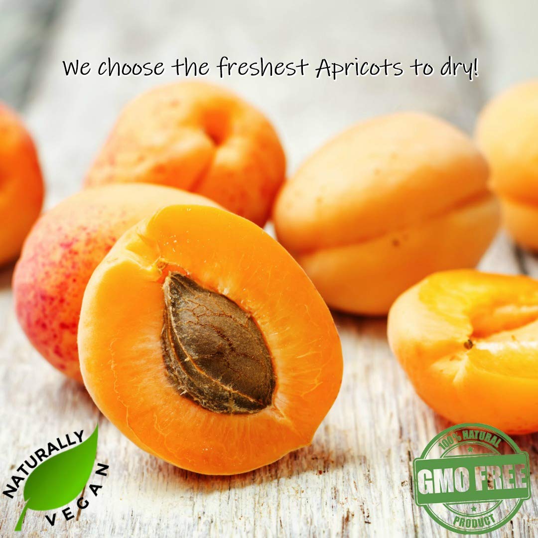 GERBS Dried Apricots 2 LBS. | Freshly Dehydrated Packed in Resealable Bulk Bag | Top Food Allergy Free | Sulfur Dioxide Free |Great with yogurt, cottage cheese, oatmeal | Gluten Peanut & Tree Nut Free : Grocery & Gourmet Food