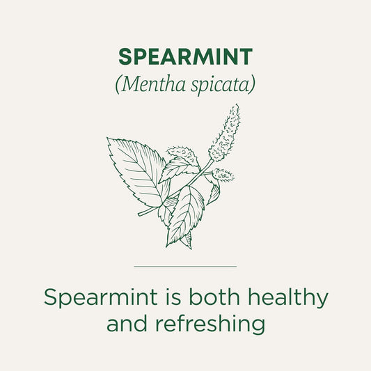 Traditional Medicinals Tea, Organic Spearmint, Supports Everyday Wellness, Healthy & Refreshing, 16 Tea Bags