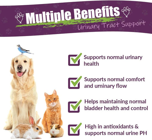 Amber Naturalz Utr Urinary Tract Herbal Supplement For Dogs, Cats, Birds, Guinea Pigs, And Rabbits | Pet Herbal Supplement For Bladder Support | 4 Fluid Ounce Glass Bottle | Manufactured In The Usa