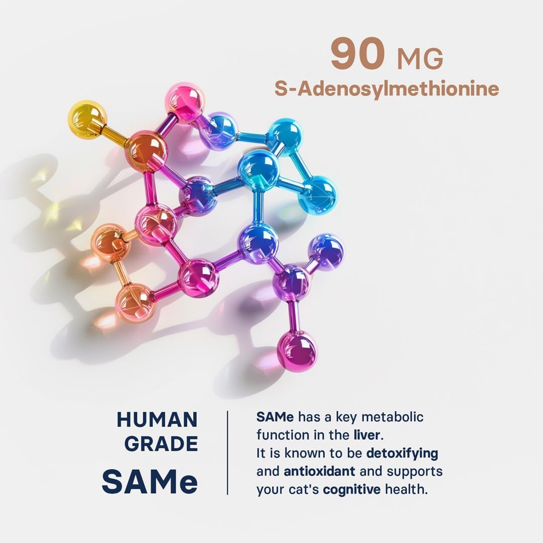 SilymarinAdvanced Liver Health Supplement for Cats, S-Adenosylmethionine (Same) and Silybin, Liver Tablets, Cognitive Support, 30 Tablets : Pet Supplies
