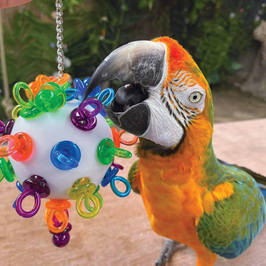 Northern Parrots Super Binkies Hanging Acrylic Whiffle Ball Parrot Toy Large