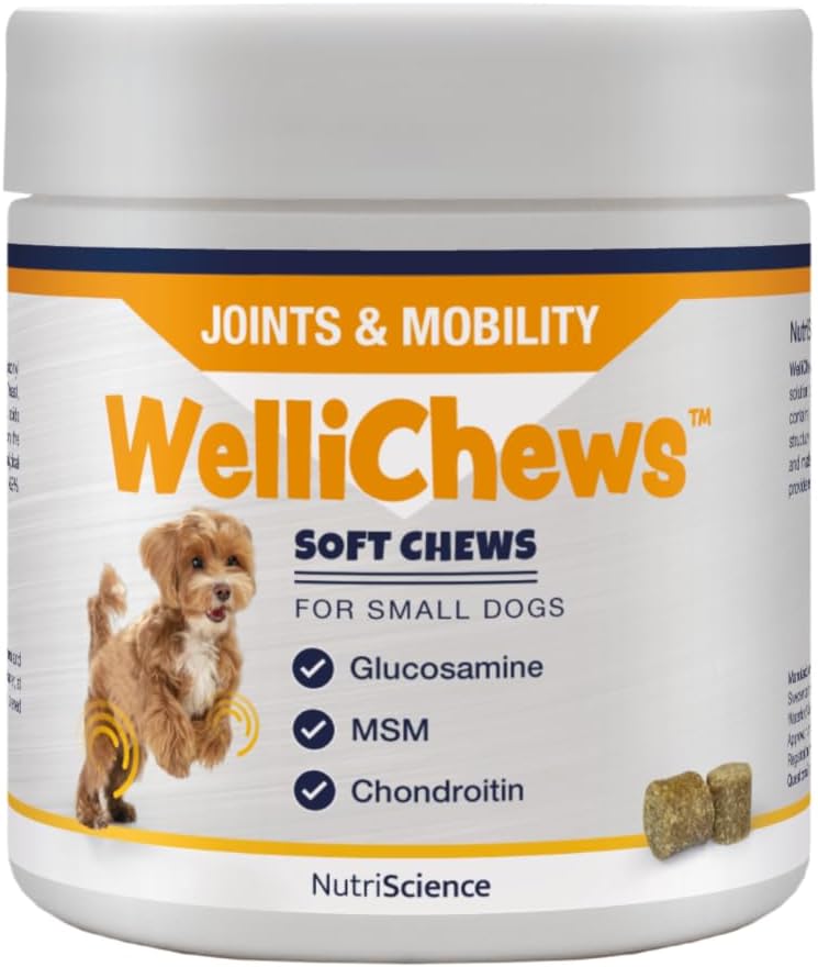 Wellichews Glucosamine for Small Dogs | Dog Joint Supplement with Glucosamine, Chrondroitin & MSM - Inflammatory Pain Relief Soft Chews for Hip & Joints - 120 Soft Chews?FP0429