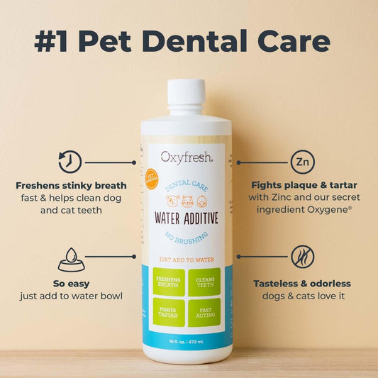 Oxyfresh Premium Pet Dental Care Solution Pet Water Additive: Best Way to Eliminate Bad Dog Breath and Cat Bad Breath - Fights Tartar & Plaque - So Easy, Just Add to Water! Vet Recommended 16 oz
