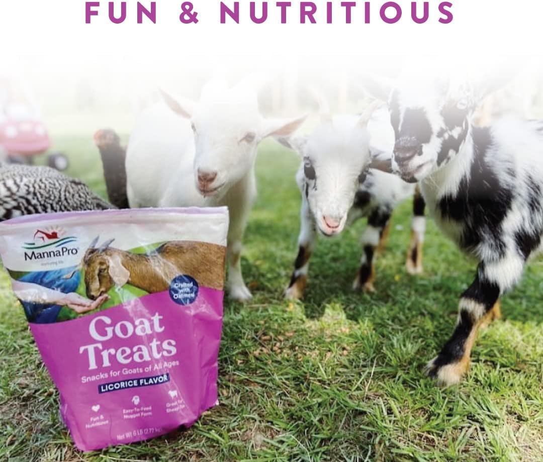 Manna Pro Goat Treats | Made With Oatmeal | 8 Pounds : Pet Supplies