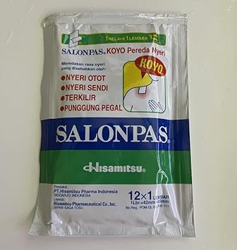 Salonpas Pain Relieving Patch for Back, Neck, Shoulder, Knee Pain and Muscle Soreness - 12 plasters - 6.5 x 4.2 cm, Unflavored (Inedible) : Health & Household