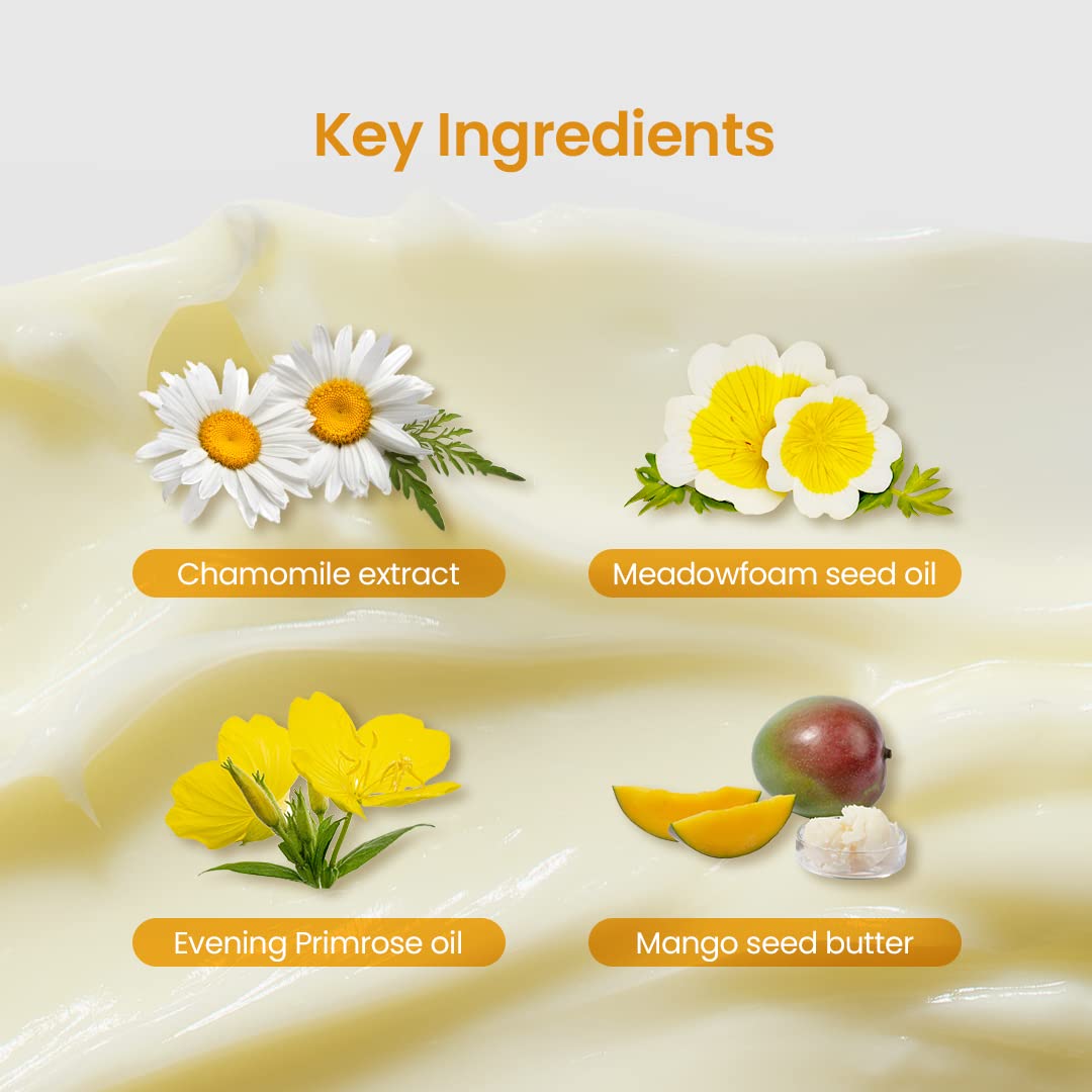 Beplain Ceramide Skin Barrier Cream (2.02 Fl Oz / 60Ml) | Chamomile Intense Moisturizing Facial Cream | Daily Soothing & Nourishing Treatment For Sensitive Skin | Korean Skin Care : Beauty & Personal Care