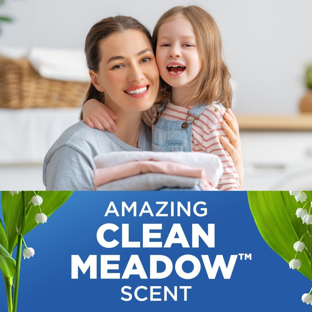 Arm & Hammer Plus Oxiclean Clean Meadow, 77 Loads Liquid Laundry Detergent, 100.5 Fl Oz