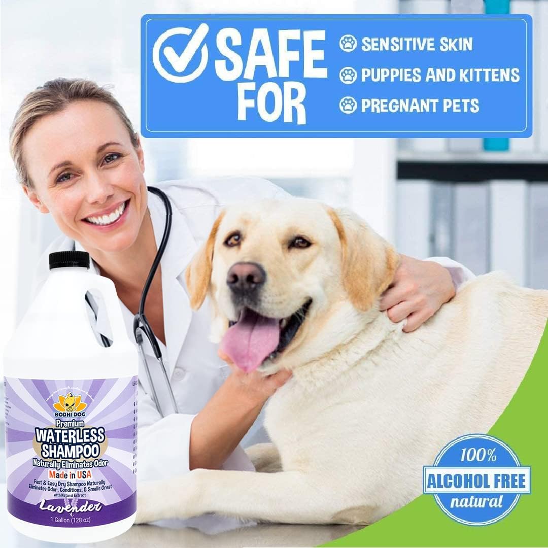 Bodhi Dog Waterless Shampoo | Natural Dry Shampoo for Dogs or Cats | Neutralizes Pet Odor | No Rinse Required | Made with Natural Extracts | Vet Approved- Made in USA (Lavender, 128 Fl Oz)