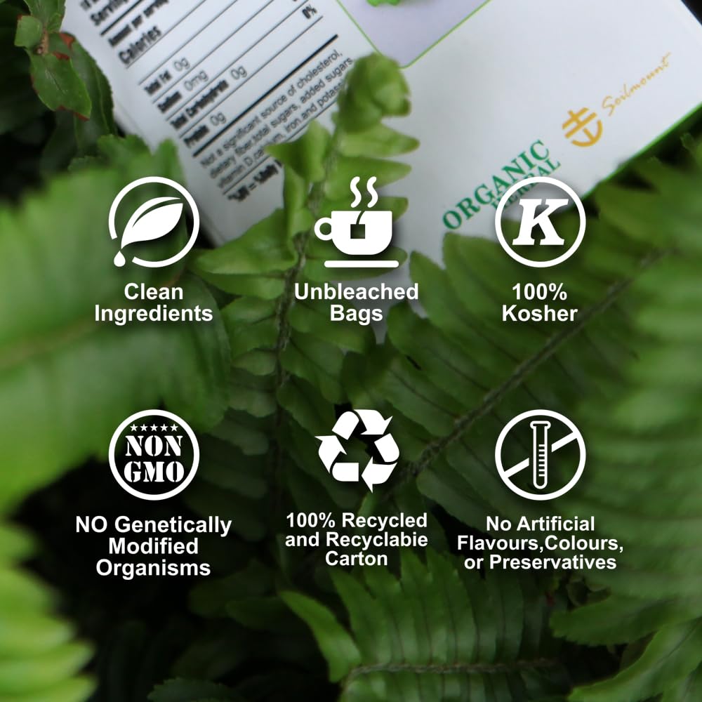Soilmount 100% Natural Motherwort Tea, Dried Motherwort, Leonurus Japonicus, Chinese Herba, Decaffeinated Loose Leaf Tea, (Leonurus Cardiaca/Yimucao/???/???) Caffeine-Free, 18 Bleach-Free Tea Bags
