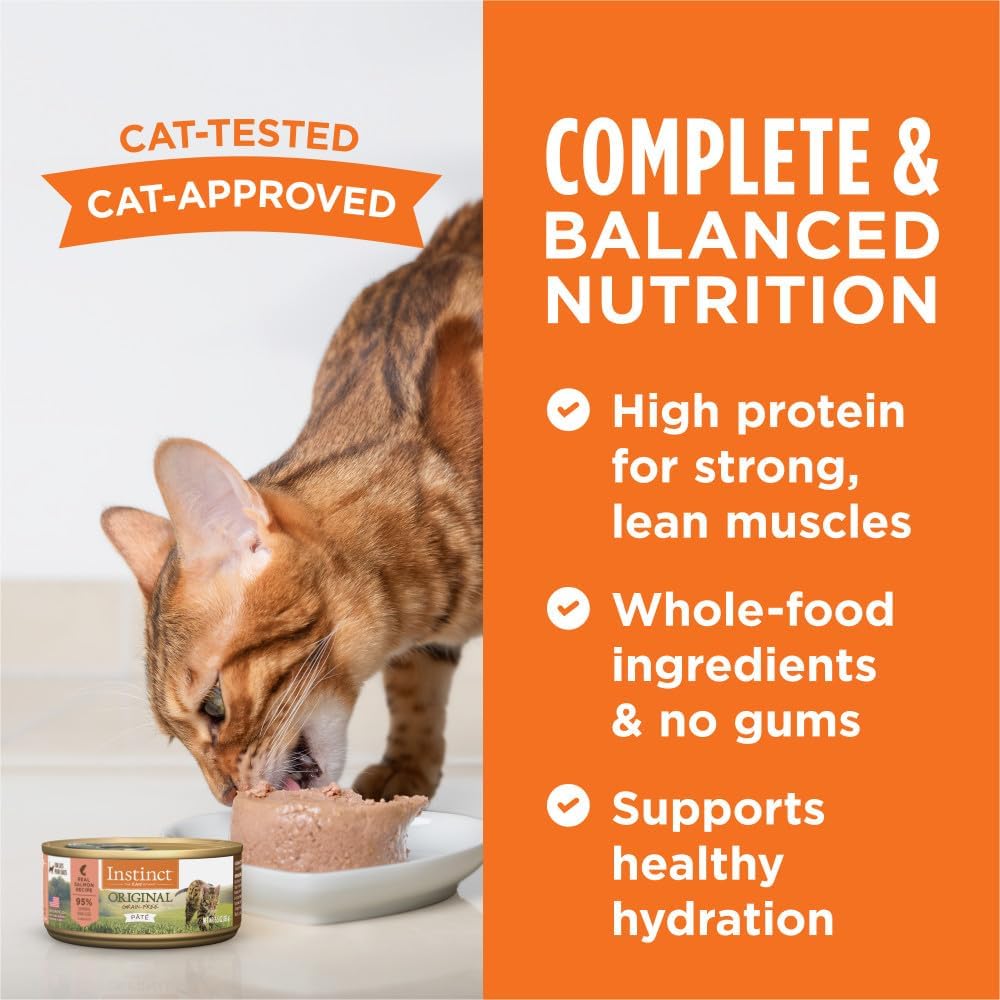 Instinct Original Grain Free Real Salmon Recipe Natural Wet Canned Cat Food by Nature's Variety, 5.5 oz. Cans (Case of 12) : Canned Wet Pet Food : Pet Supplies