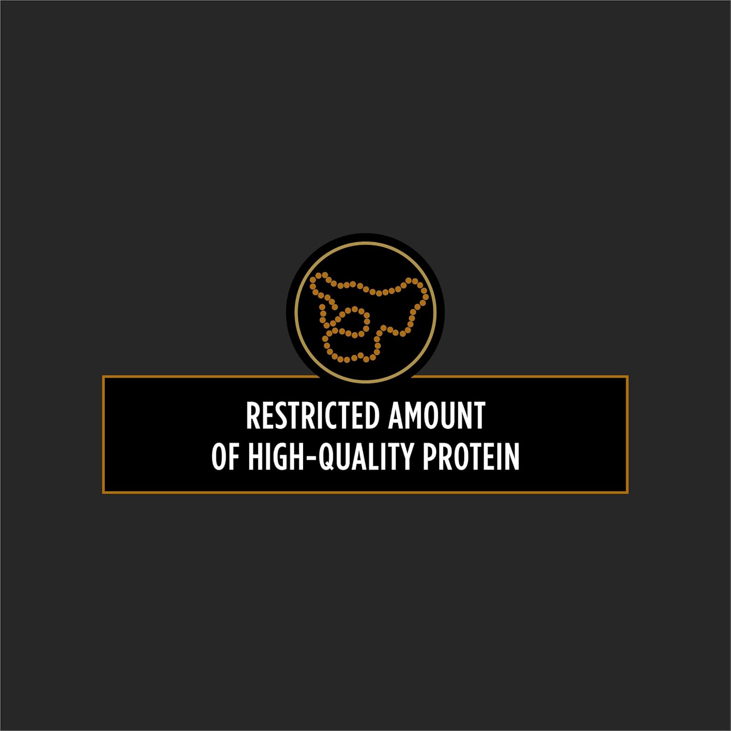Pro Plan Veterinary Diets Purina NF Kidney Function Canine Dog Food Dry Formula - 16.5 lb. Bag : Pet Supplies