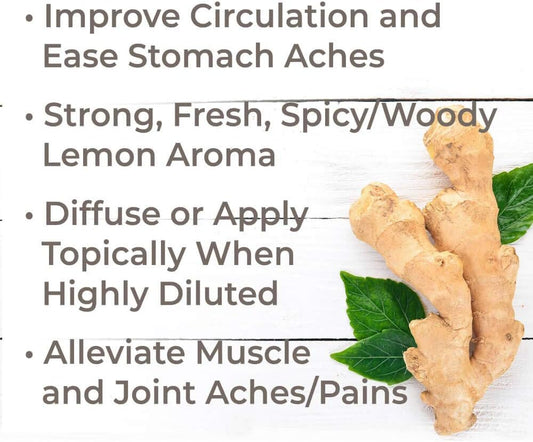 Plant Therapy Ginger Root Co2 Essential Oil 100% Pure, Undiluted, Natural Aromatherapy, Therapeutic Grade 30 Ml (1 Oz)
