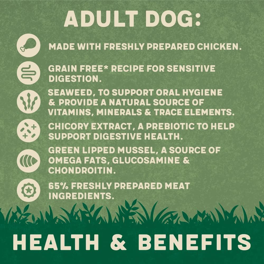 Harringtons Complete Wet Can Grain Free Hypoallergenic Adult Dog Food Chicken & Veg 6x400g - Made with All Natural Ingredients :Pet Supplies