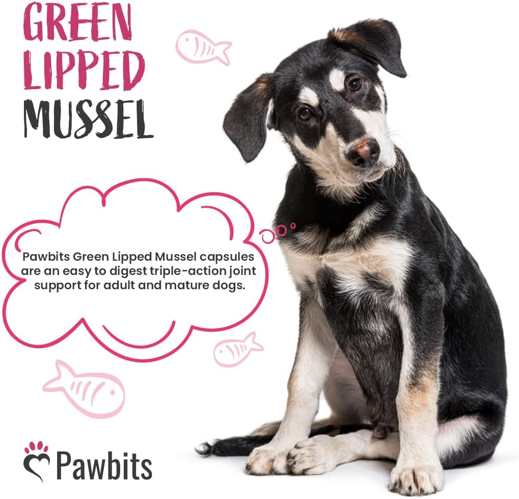 Pawbits 120 Green Lipped Mussel For Dogs 500mg Hip & Joint Support Powder Capsules (Not Tablets) for Dogs - Containing Premium New Zealand Mussel Natural Dog Joint Supplements – UK MADE :Pet Supplies