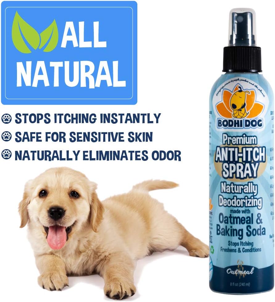 Bodhi Dog Anti Itch Spray | Natural Soothing Relief for Dry, Itchy, Bitten or Allergy Damaged Skin Treatment | Anti Itch Spray for Dogs & Cats | Made in USA (Oatmeal, 8 oz) : Pet Supplies